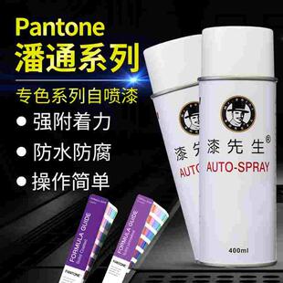 潘通系列金属自喷漆PANTONE 8844C Warm gray11紫色/浅褐色涂鸦漆