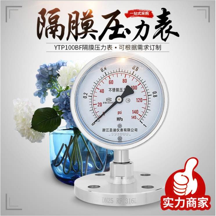 不锈钢耐震隔膜压力表YTP100BF 法兰连接DN25 316L