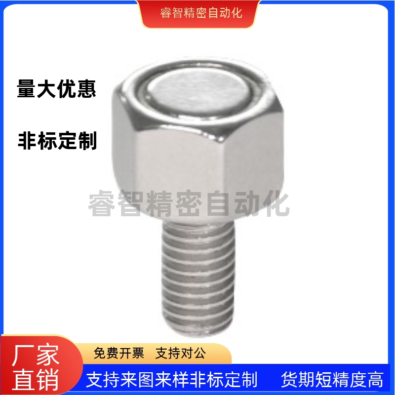 BML31/36-45802调整螺钉
