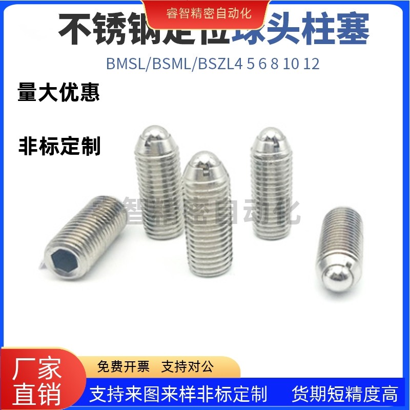 球头柱塞BMSLBSML45