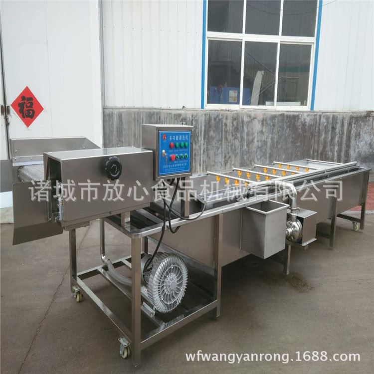 龙须菜清洗机 大型蔬菜清洗机加工厂家 sus304食品级不锈钢