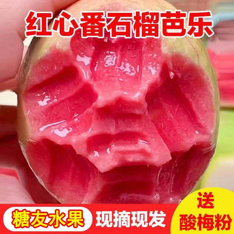 糖尿人专用零食品红心芭乐果水果三高血糖儿童孕妇糖友控糖旗舰店