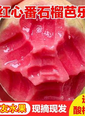 糖尿人专用零食品红心芭乐果水果三高血糖儿童孕妇糖友控糖旗舰店