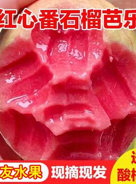 糖尿人专用零食品红心芭乐果水果三高血糖儿童孕妇糖友控糖旗舰店