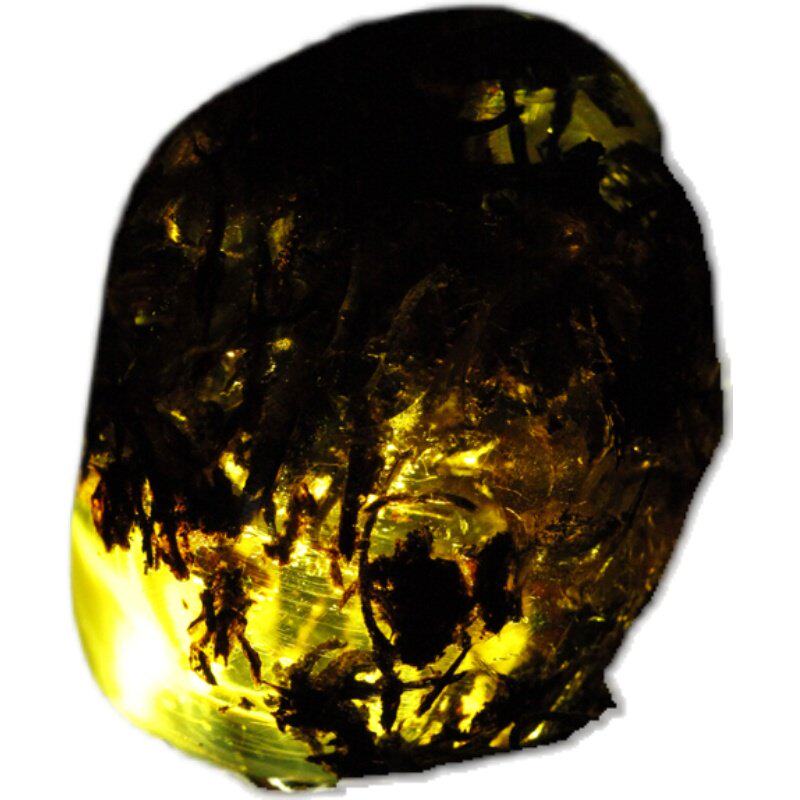 天然植物珀水草风景珀俄料原矿原皮原石p琥珀