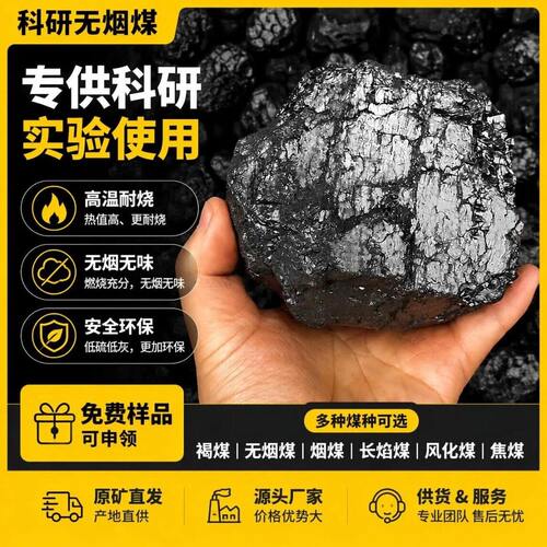 实验室科研标本煤褐煤无