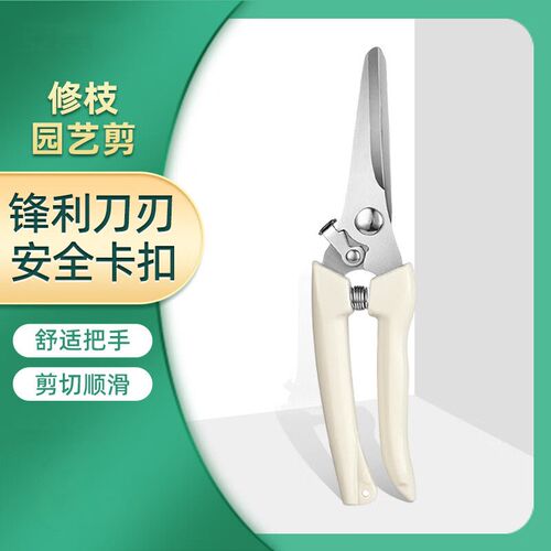 修枝剪园林园艺专用不锈钢剪刀家用省力修花修剪果树摘果树枝花艺