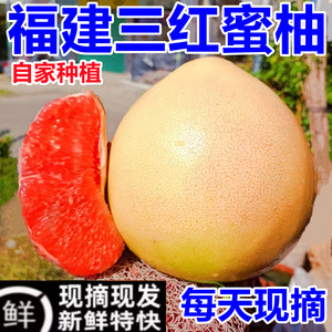 自家种植只卖柚子【老店推荐】