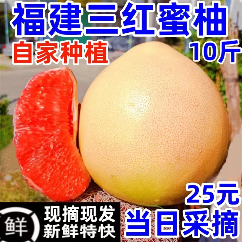 福建三红蜜柚平和琯溪红心密柚子新鲜现摘漳州馆管溪柚官溪肉水果