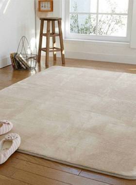 New  Room Coral Carpet Thicken Living Tea Table Rug Bedroo