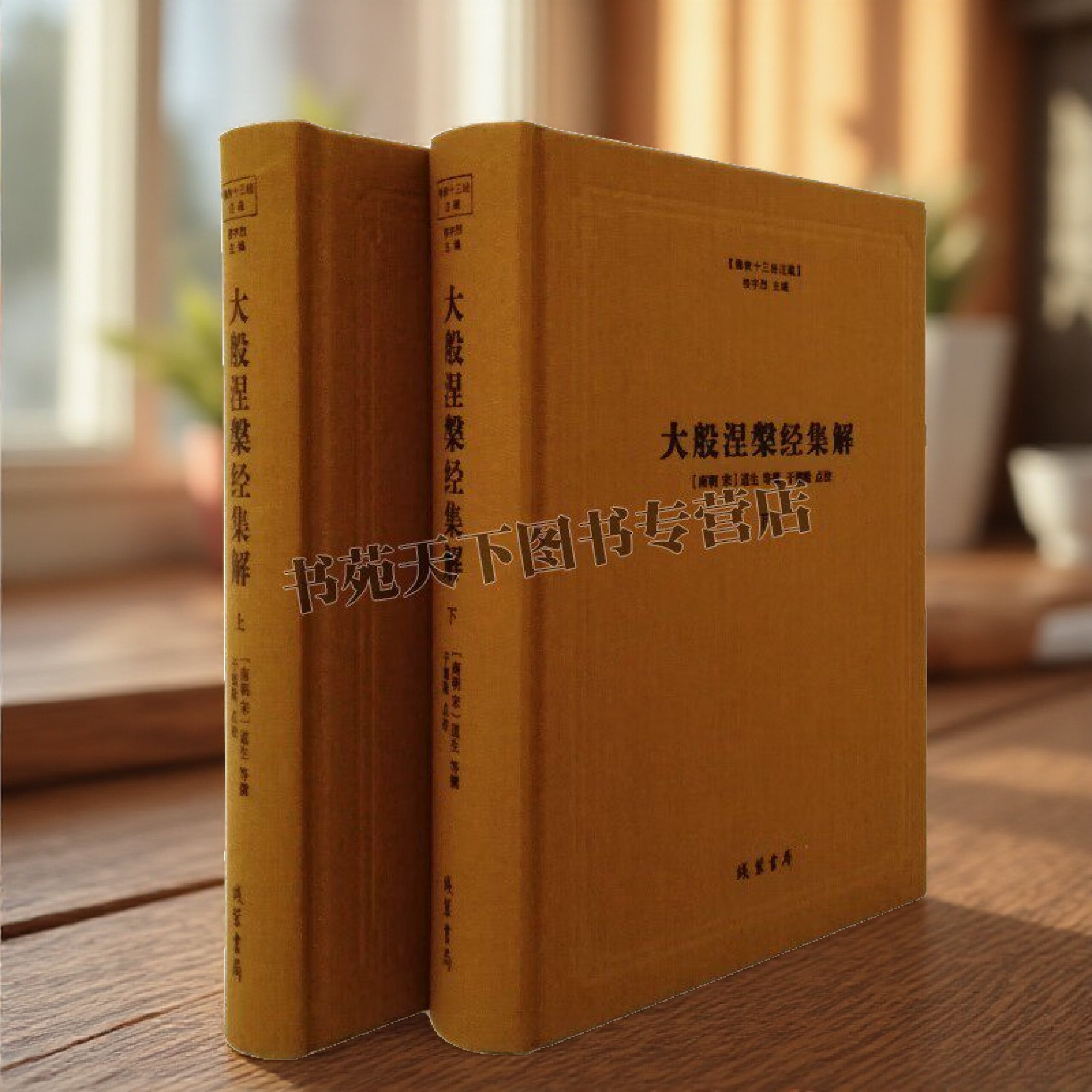 大般涅槃经集解(上下)(精)佛教十三经注疏 (南朝宋)道生,总:楼宇列 线装书局