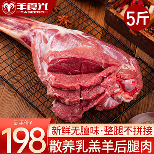 羊肉新鲜后腿肉切块乳羔羊5斤羊排烤羊腿羊蝎烧烤冷冻食材