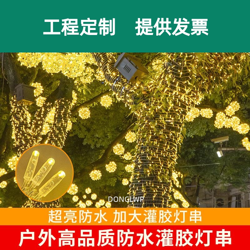 LED防水灌胶灯小彩灯闪灯串灯满天星氛围灯街道亮化挂树上的灯带