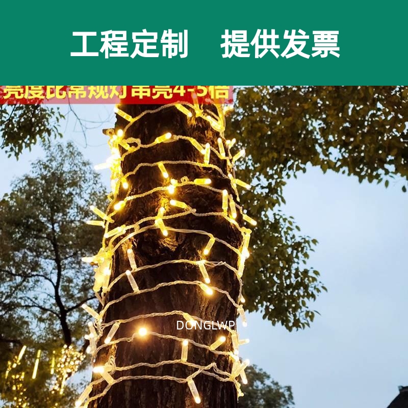 户外led灌胶灯串街道亮化工程节日防水装饰灯绕树满天星彩灯闪灯