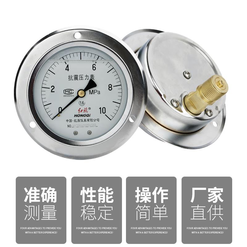 厂家直销红旗仪表耐震