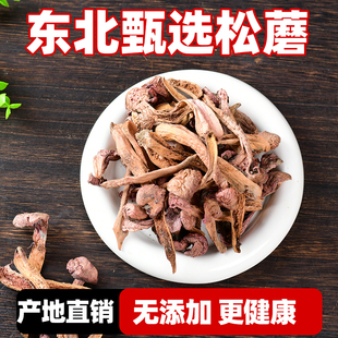 正宗红松蘑菇丁干货中国美味蘑菇东北特产新鲜红菇香菇红蘑菇零食