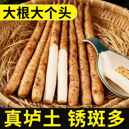 铁棍山药新鲜5斤密铁锈铁杆淮山铁杆农家河南焦作温县正宗紫怀