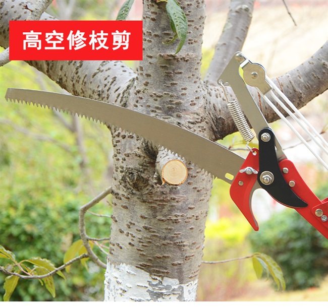果树剪刀园林高枝剪伸缩高空剪修剪树枝高空枝剪高枝锯工具修树剪