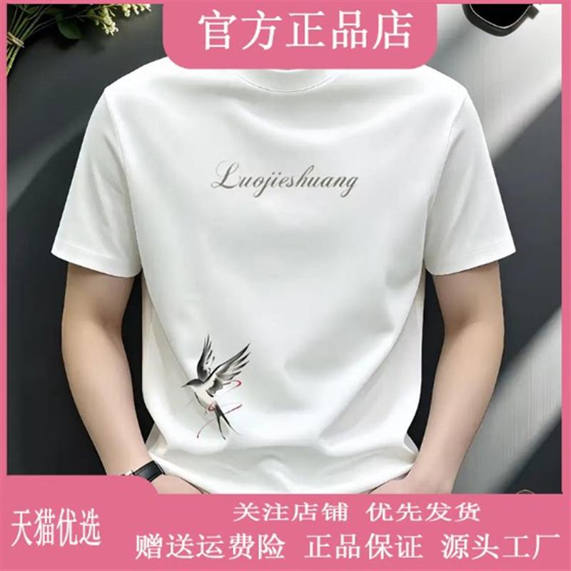 师凯服饰Amphelisia潮牌修身正肩T恤字母图案休闲男士夏季短袖