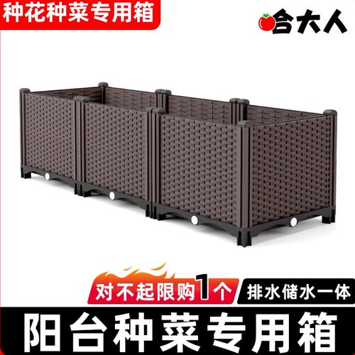 家庭阳台花盆种菜哈大人加厚养花