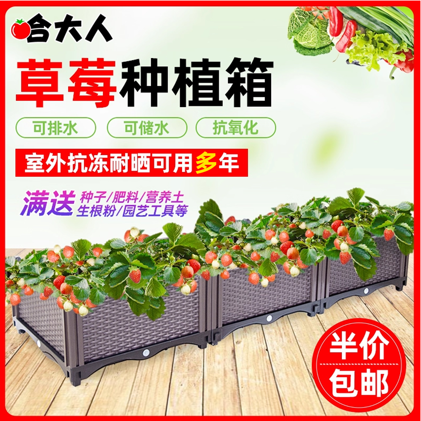 耐用十年园艺榜推荐草莓花盆首选