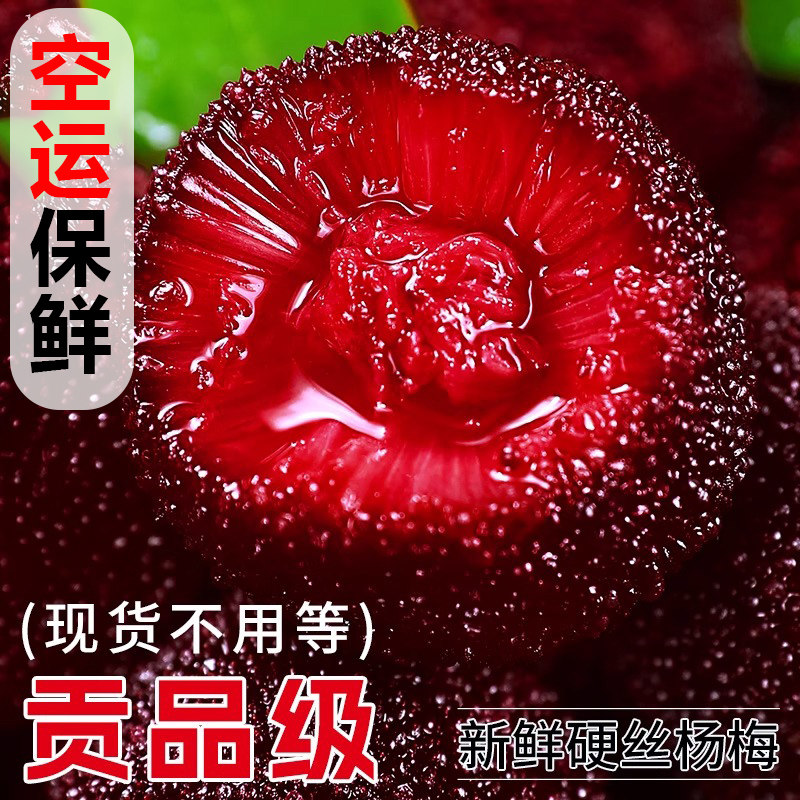 杨梅鲜果现摘现发新鲜福建硬丝杨梅大果4斤空运当季新鲜水果整箱