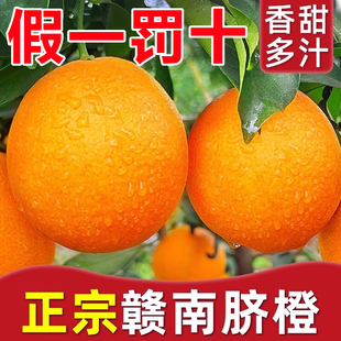 水果 正宗江西赣南脐橙新鲜橙子10斤赣州产地直发当季 假一罚十
