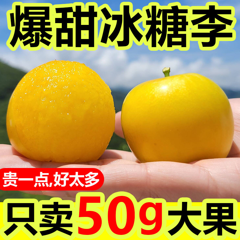 正宗新鲜冰糖李桃花李子当季水果四川甜蜂糖李子黄金奈李整箱包邮