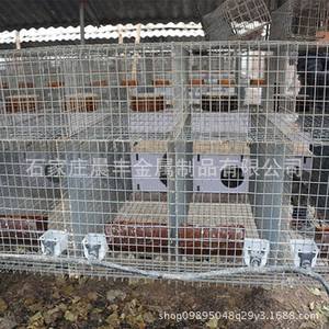 厂家生产狐狸笼貂笼貉子笼养殖网养貂笼