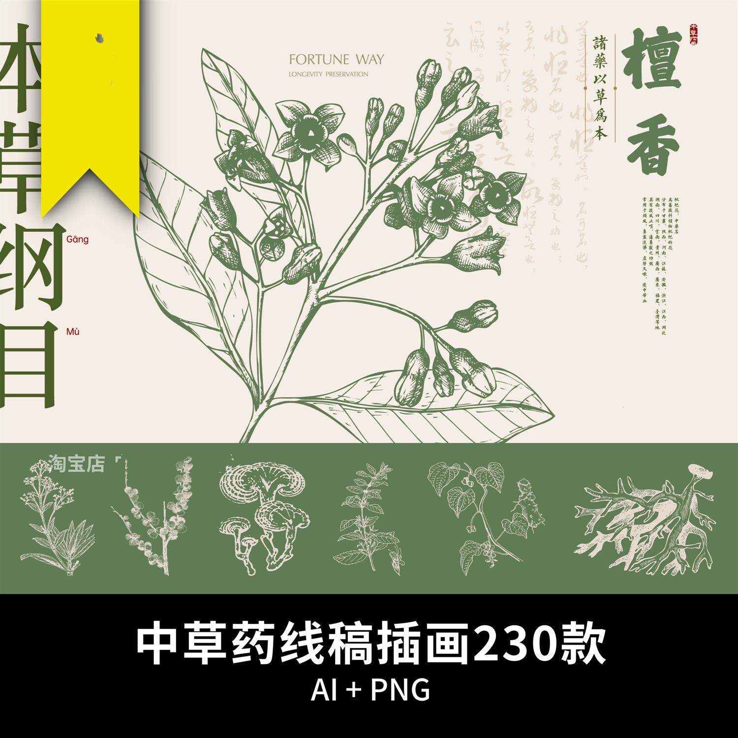 中草药草本植物线稿素描插画纹样国风装饰AI矢量设计免扣图片素材