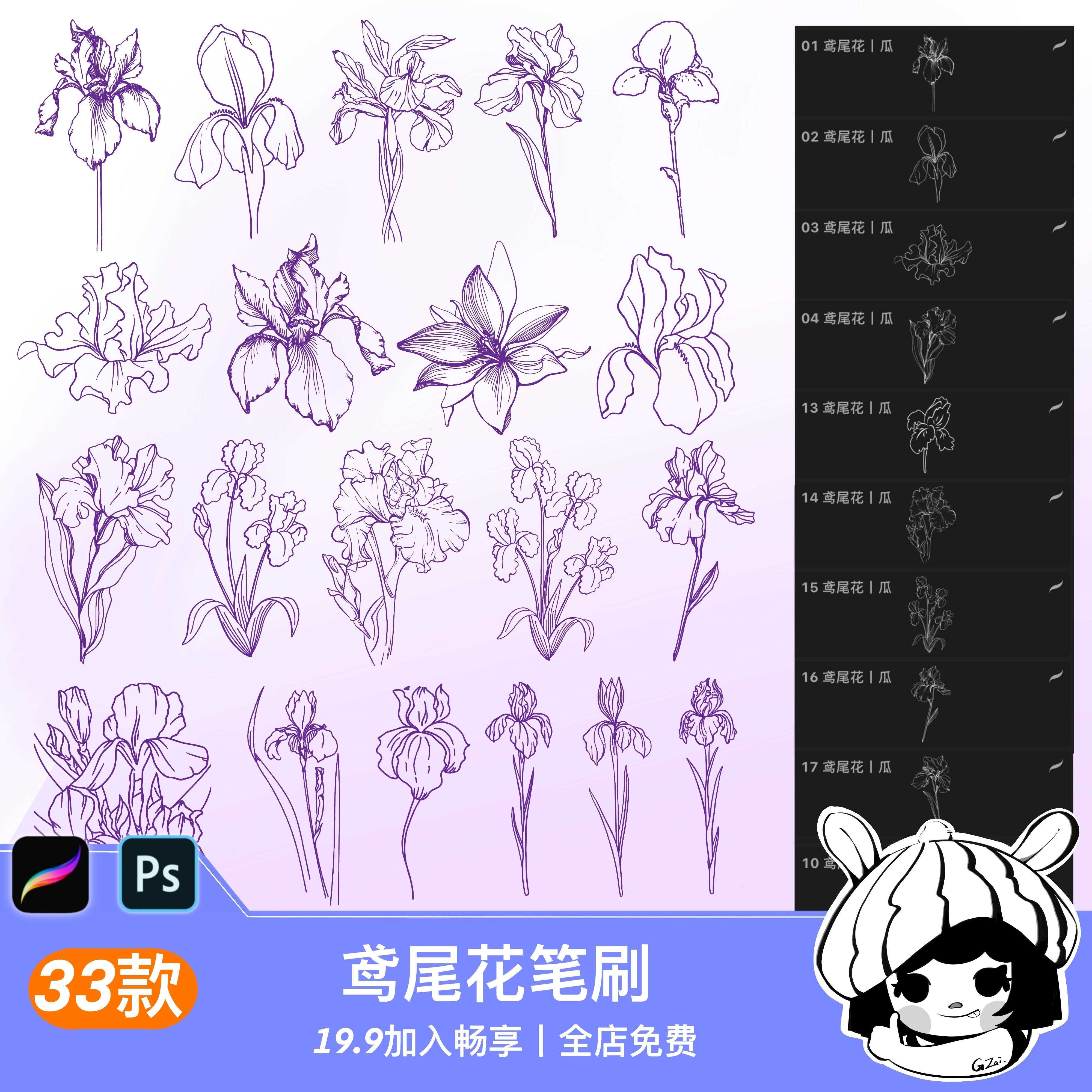 鸢尾花ps笔刷procreate笔刷花朵鲜花植物花卉线稿辅助装饰素材