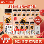 轻上陈皮荷叶乌梅熬山楂植物饮料乌梅汤2.0酸梅汤椰泰东方补者