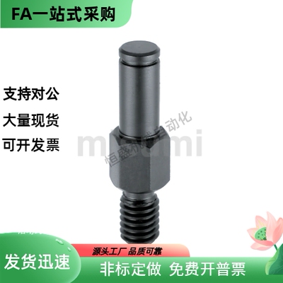 悬臂销LXAA3 4 5 - 2 6 10 15 20 25 30-F3 F10 F15 F20 F25 F30