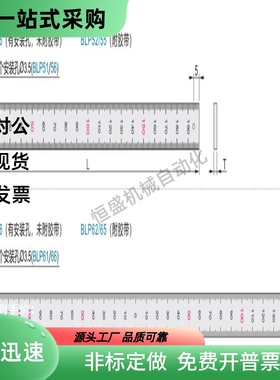 BLP51 52 55 56-L20 L30 L40 L80 L90 L100 L150 L200 L300 标尺