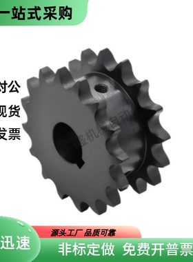 双排链轮 SP40SD12 13 14 15-S-N-10 13 15 18 20 25 28 30 35