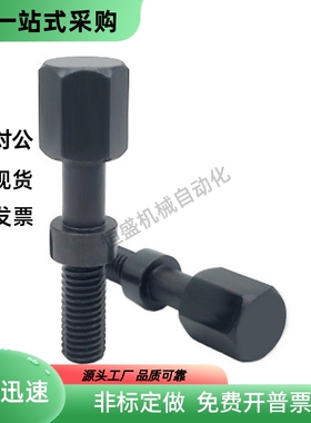 PAY01六角粗牙调整螺栓 AJST5 6-10 15 20 25 30 35 40 45 50 80