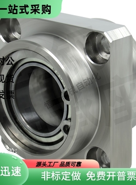 带座轴承BFU42-6903ZZ 6203ZZ 6904ZZ 6205ZZ 6906ZZ 6003ZZ-L20