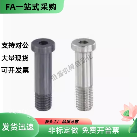 轴承止动销BGPM12 15 17-15 16 18 19 21 20 22 24-L20 L30 L40