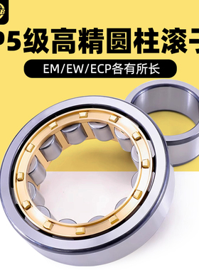 EVB进口圆柱滚子轴承RN303 NF304 305 306 307 308 309 310 311EM