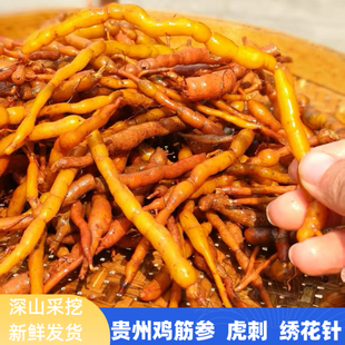 贵州新鲜鸡筋参中药材 黄鸡胖黄鸡郎黄脚鸡长叶数珠根中草药