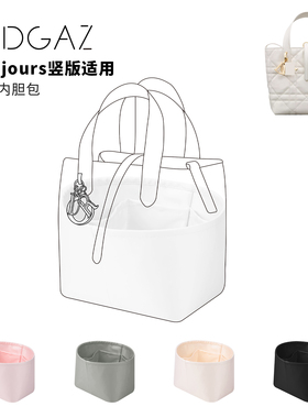 DGAZ全球品牌适用toujours竖版土著绸缎内胆包纯白色48小时发货