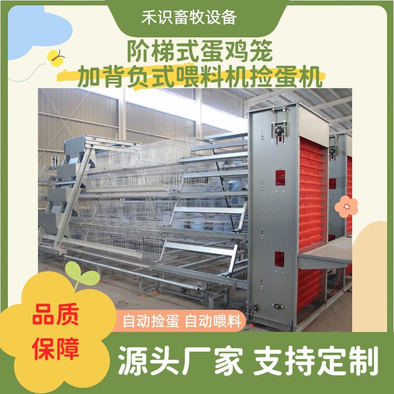 全自动阶梯蛋鸡笼加背负式喂料机捡蛋机自动集蛋系统自动喂料系统
