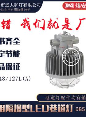 生产矿用LED巷道灯DGS48/127L(B)矿用隔爆型巷道灯48W127V