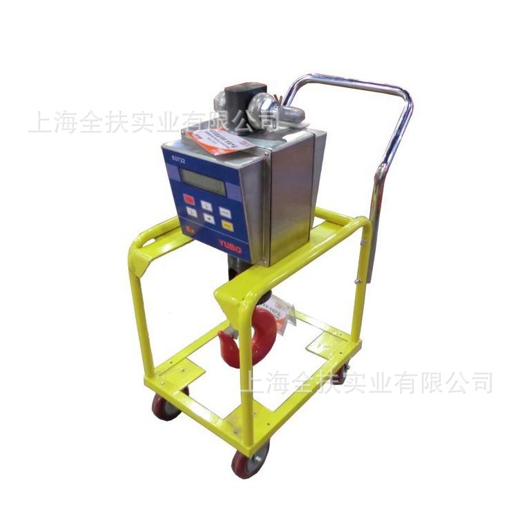 防爆电子吊钩秤 1吨防爆吊秤 ExiaⅡCT6 防爆电子吊钩秤厂家