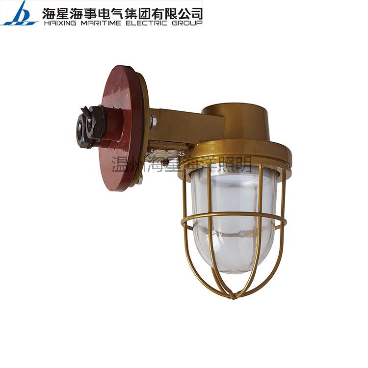 海星海事船用led灯具舱顶灯CCD9-6L工作作业灯固定安装
