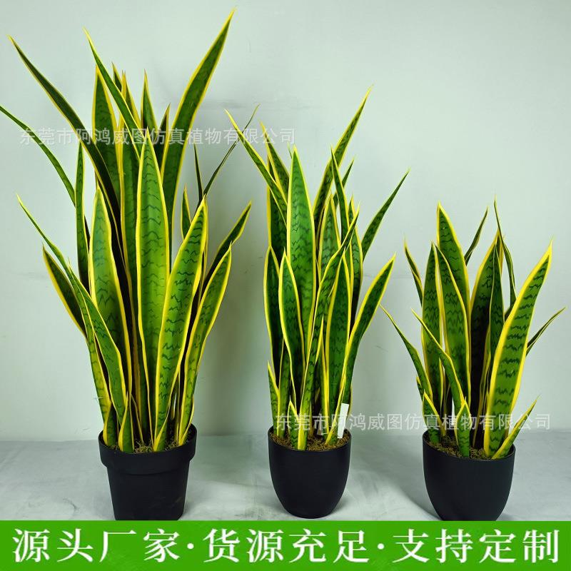 仿真虎皮兰盆栽室内虎纹兰装饰摆件北欧龙舌兰仿真绿植装饰盆景