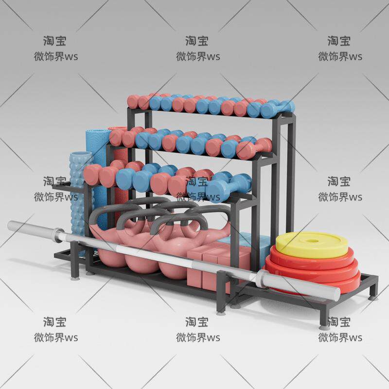 杠铃杆收纳架杠铃片置物收纳展示架哑铃整理陈列架子