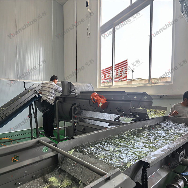 厂家热销涡流清洗机 不锈钢小白菜清洗机 洋槐花涡流清洗机