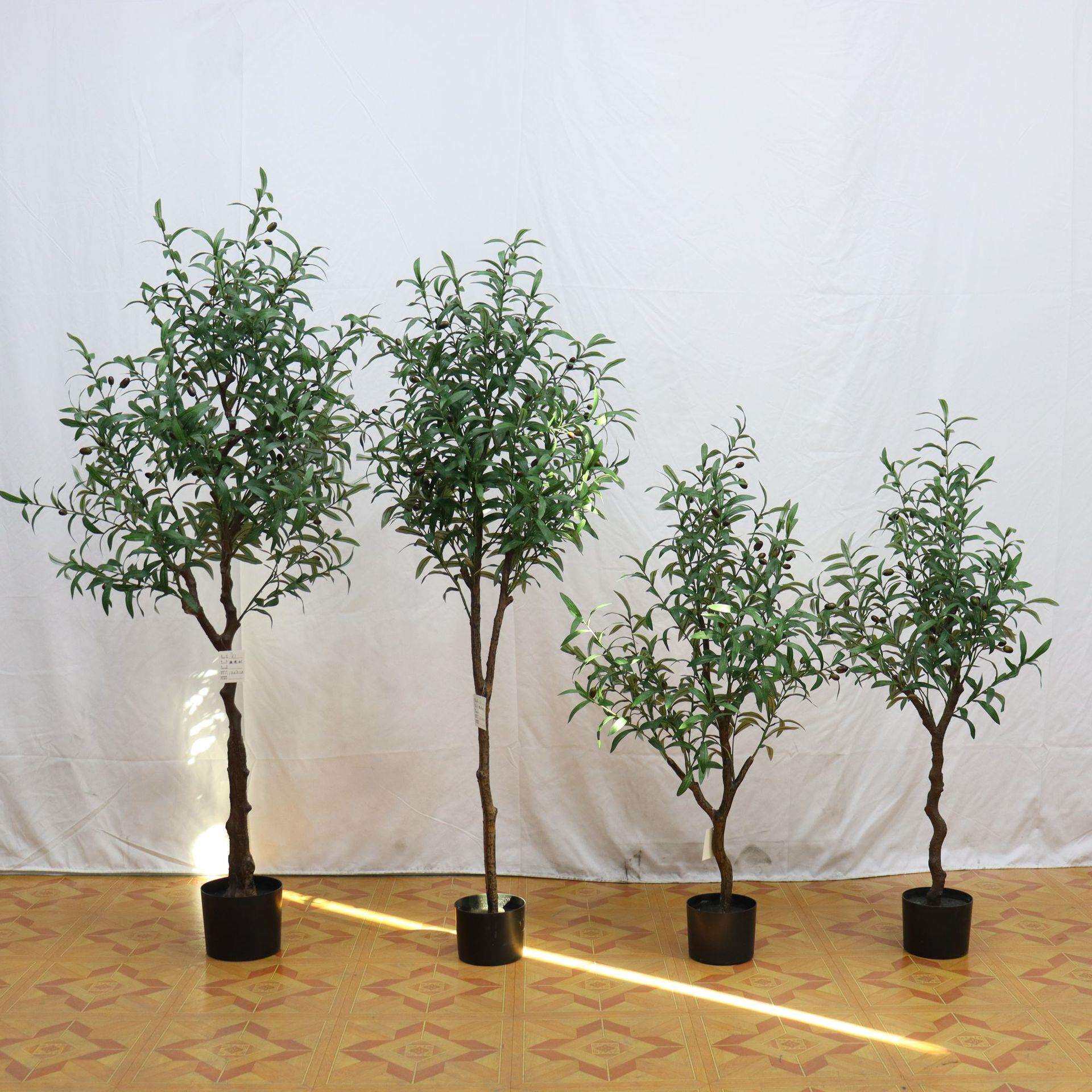 植物橄榄树盆栽室内办公室绿植装饰盆景北欧假树果树摆件真