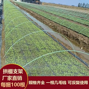 种菜棚架新型小拱棚支架菜园棚架小棚拱杆遮阳网支架农用拱杆耐用